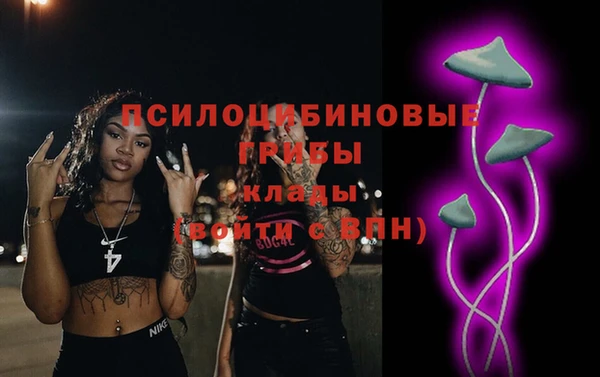 героин Каменка