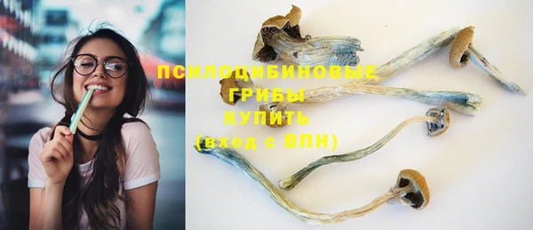 а пвп мука Каменногорск