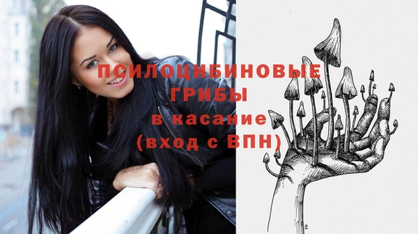 PSILOCYBIN Каменск-Шахтинский
