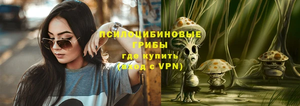 PSILOCYBIN Каменск-Шахтинский