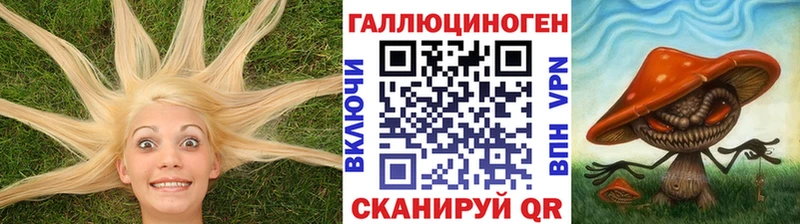 Псилоцибиновые грибы ЛСД  Купить  Тара 